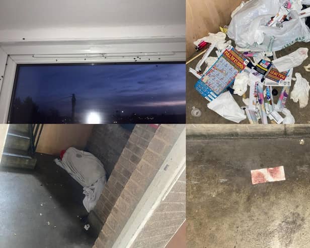 My 2-year-old daughter was hospitalised due to rat infestation in our home