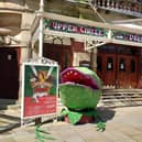 Audrey II eyes up her next victim outside the opera house. David John King Photography