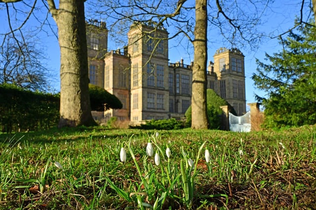​The first snowdrops of the year are out at Hardwick House’s walled garden in this lovely photo by Nick Rhodes.