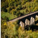 Monsal Trail has reopened on Saturday, January 25 following recent tree safety and maintenance works.