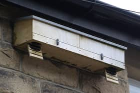One of the Swift next boxes that have been put up in the Lightwood Road area