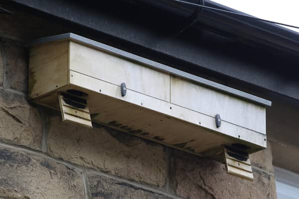 One of the Swift next boxes that have been put up in the Lightwood Road area