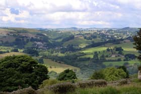 Derbyshire Wildlife Trust wants to recover huge swathes of land to better support nature.