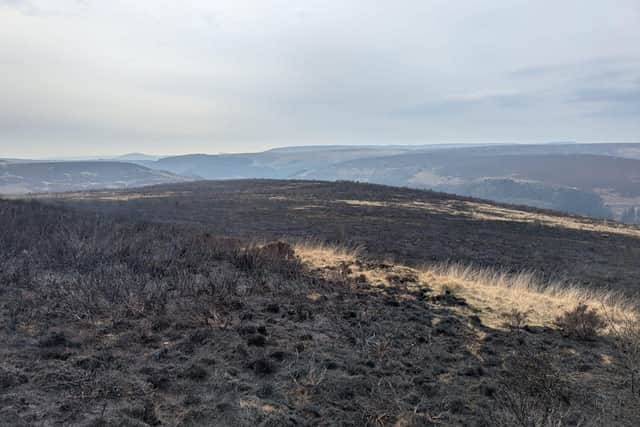 National Trust issued an appeal to Peak District visitors and urged them not to lit fires or use barbeques under any circumstances to prevent further blazes.