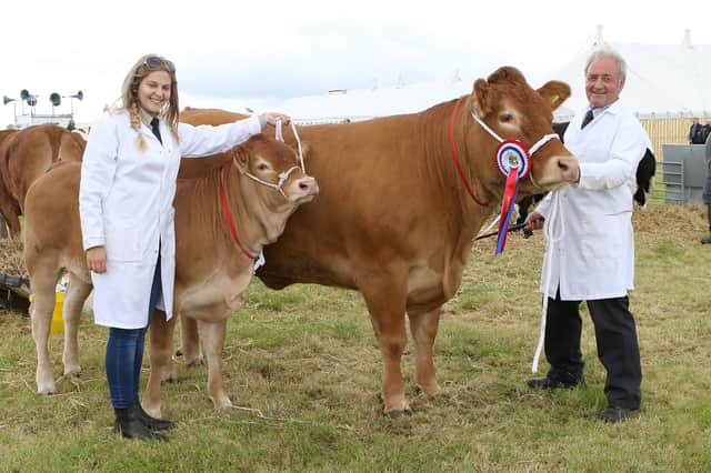 The top beef award went to this cow and calf shown by local farmer Bob Darlington assisted by Stephanie Blower