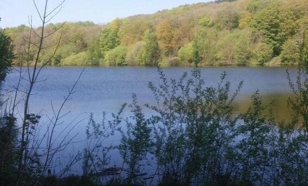 Linacre in Chesterfield.