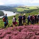 Explore the Peak District with a guided walk. Photo - PDNPA