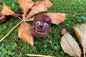 A bit of Hallowe'en fun from Buxton's Pauline Baines with her snap of Connie The Conker.