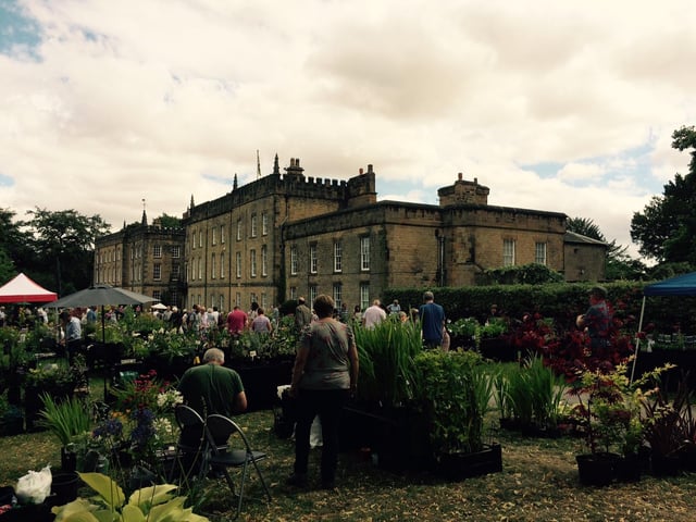 Specialist plant fair at Renishaw Hall.