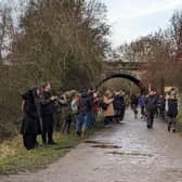 The ‘irruption’ of waxwings has been attracting hundreds of admirers to the county.