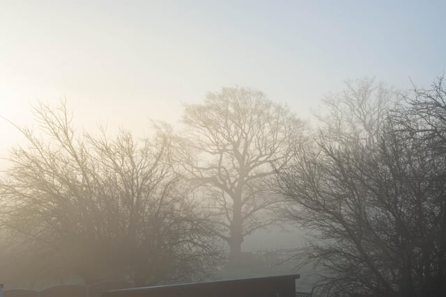 ​Dave Long’s striking photo captures an eerie and frosty start to the day in Ripley.