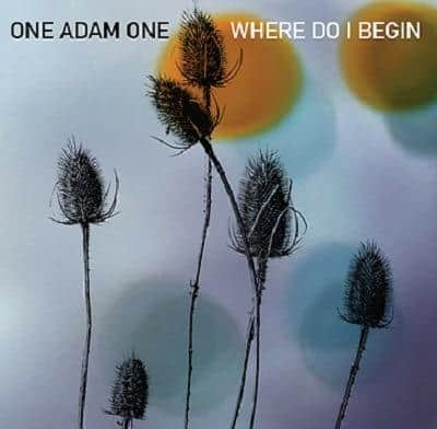 One Adam One (Die Trying Records)
“Where Do I Begin”