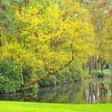 Parks and green spaces in High Peak received no lottery funding in the last decade