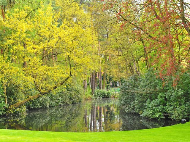 Parks and green spaces in High Peak received no lottery funding in the last decade
