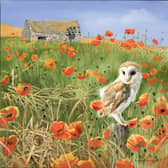 The Poppy Field by Pollyanna Pickering