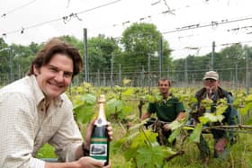 Walking around the vineyards in and around the Peak District from years gone by