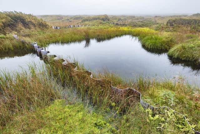 Peat bogs on Kinder Scout following restoration work to rewet the moor (photo: National Trust Images/Paul Harris).