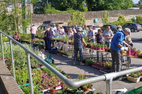 Plant sale in full swing