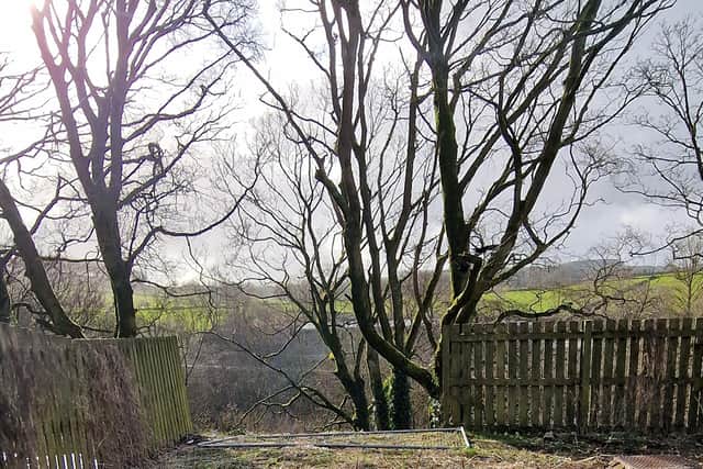 Storm damage had left a gap in this fence which prevents access to the railway line ravine.