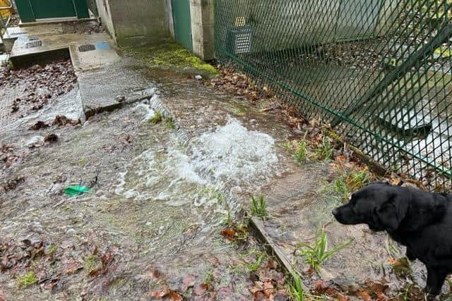 The apparent source of the leak is the underground reservoir off Corbar Woods Lane.