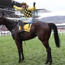 Jockey Paul Townend celebrates aboard Al Boum Photo, winner of last season's Magners Cheltenham Gold Cup.