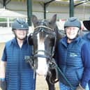 Jo Taylor and Chris Staples celebrate their carriage driving coaching success with pony Jimmy