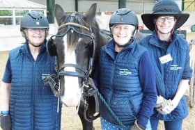 Jo Taylor and Chris Staples celebrate their carriage driving coaching success with pony Jimmy