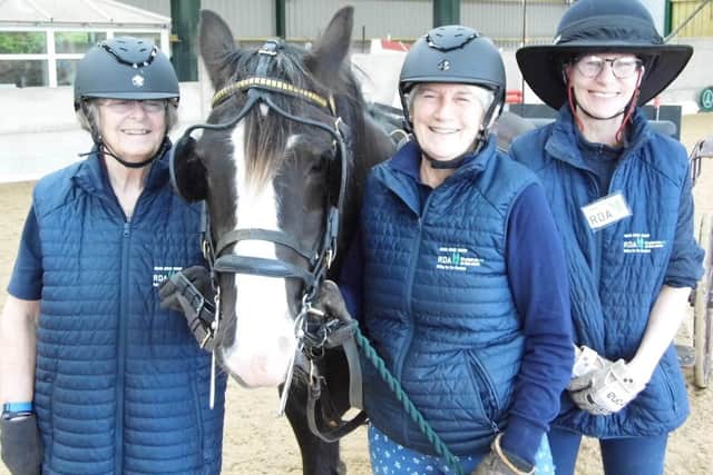 Jo Taylor and Chris Staples celebrate their carriage driving coaching success with pony Jimmy