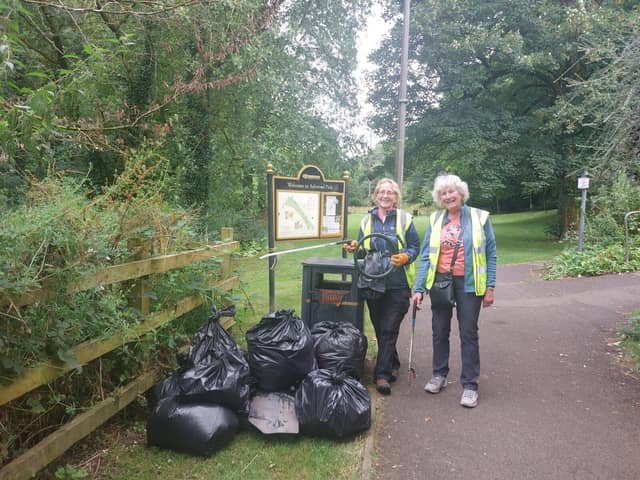 Litter picking volunteers
