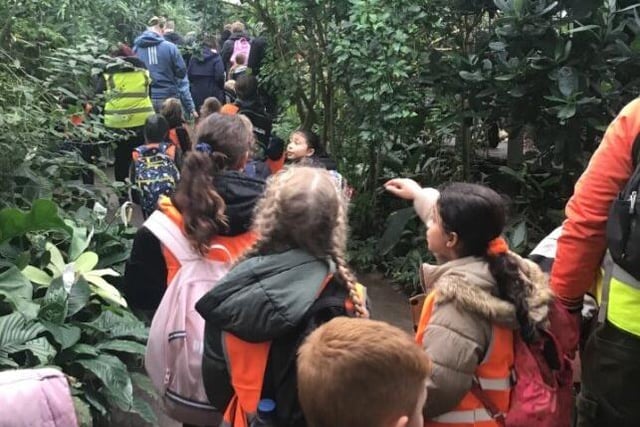 Intrepid explorers make their way through the Chester Zoo jungle. Photo submitted