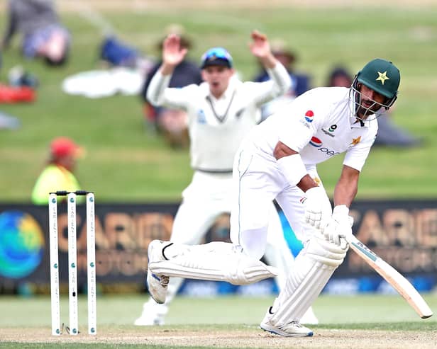 Shan Masood of Pakistan bats against New Zealand at Bay Oval in 2020.