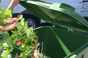 Green bin