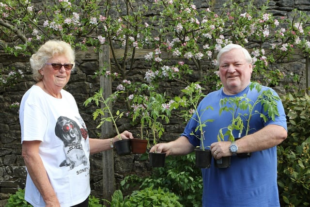 Tideswll Food Festival, Cherry Atkinson and Brian Dunks welcomed visitors to the Community Kitchen Garden and had a selection of plants for sale