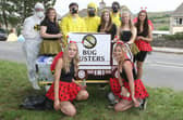 Bradwell Carnival, all the floats were on a bug theme