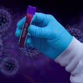 Coronavirus a year on