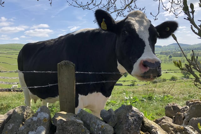 John Moss also spent some time chewing the cud with this Hartington resident.