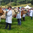 Competition is expected to be keen among Hope Show's livestock classes where numbers are very strong this year (photo: Matt Clarke)