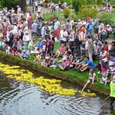 Tickets for the annual Buxton Carnival Duck race go on sale on Monday.