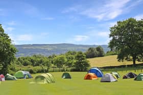 Barn Farm Campsite at Matlock picked up runner-up in the Best Campsite (National) category as well as Best Campsite (East Midlands) and Best Family Campsite (East Midlands).