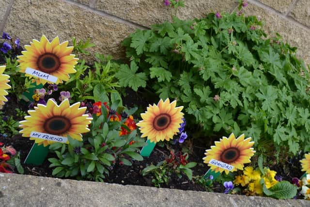 Dedicate a sunflower in memory of someone you love and raise money for the hospice.