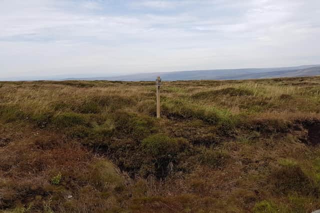 A bat detector near the north-west edge of Kinder Scout.