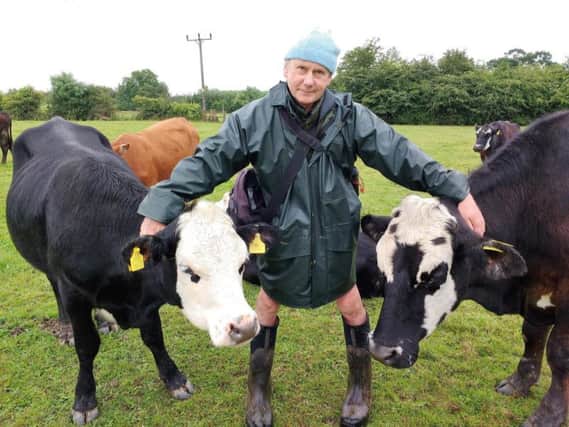Jay Wilde with his herd of cows.