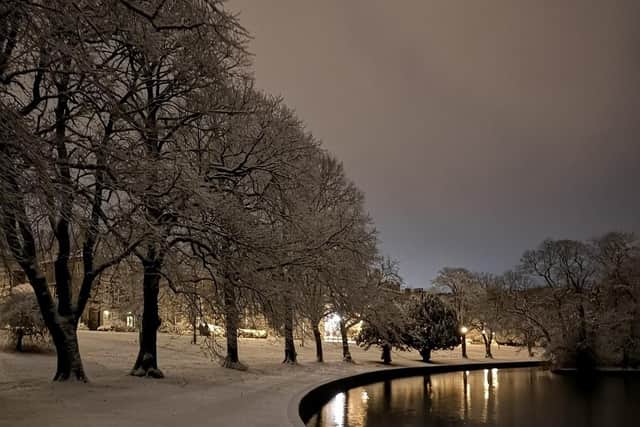 Photo by Mark Chesney