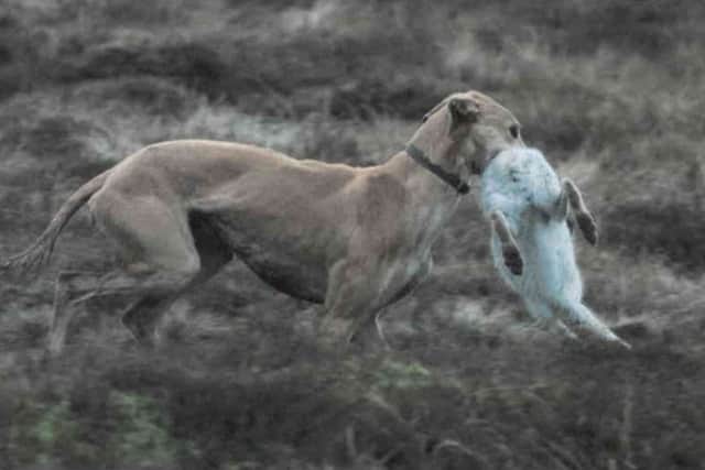 Police are trying to track the two other men who were involved in hunting with dogs on the High Peak moors