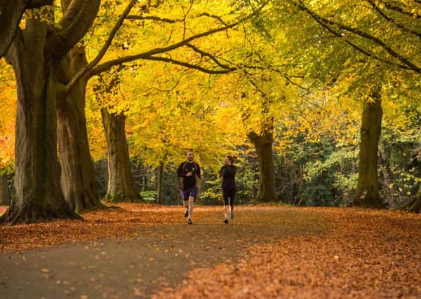 A jogger runs under deciduous trees in Clifton, Bristol.