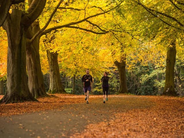 A jogger runs under deciduous trees in Clifton, Bristol.