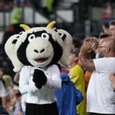 Derby County fans pictured watching their side beat Ipswich Town on Tuesday night. Pics by Jez Tighe.