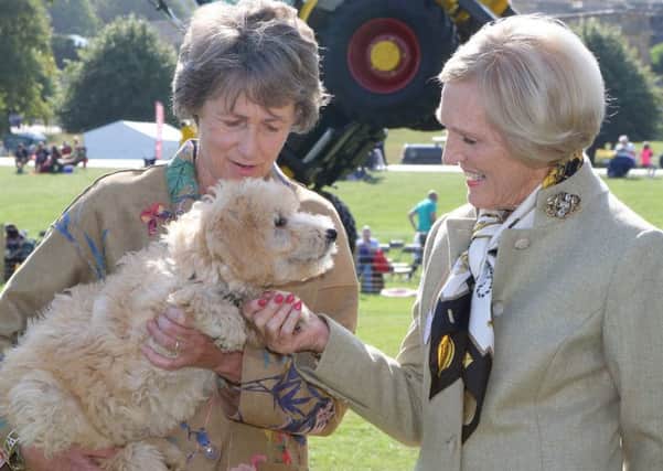 The Duchess introduces Mary Berry to one of the Chatsworth dogs
