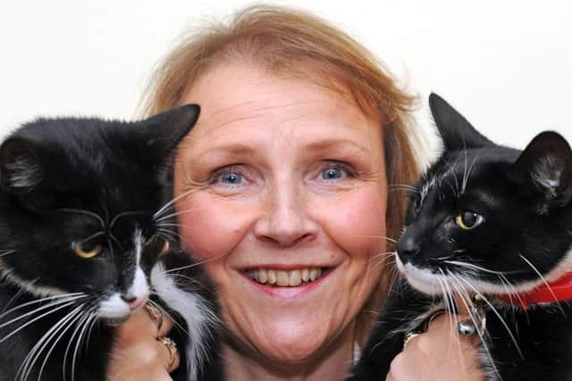 Deborah Carrington with Tom and Jerry. Picture by Anne Shelley.