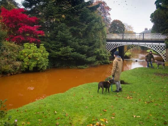 Complimenting the stunning autumnal colours in Buxton's Pavilion Gardens, the river Wye has turned a vivid orange colour. Photo: Rod Kirkpatrick / F Stop Press.